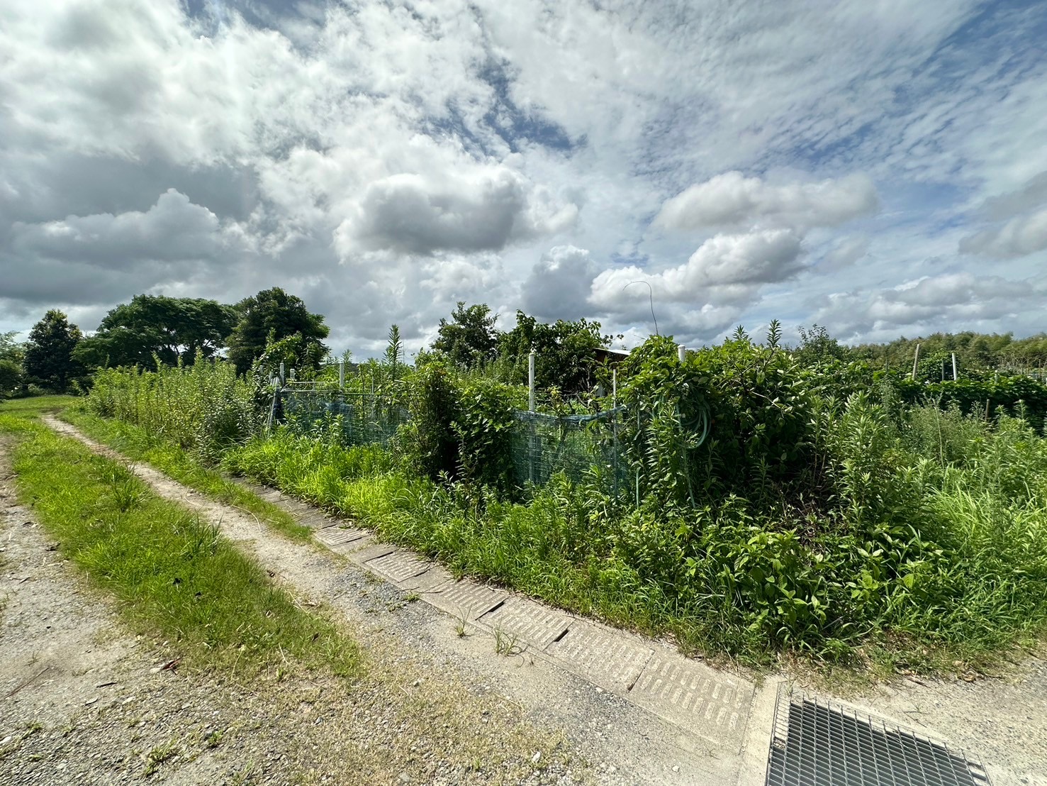 売土地情報！小野町約50坪 家庭菜園用地！